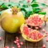 Granatapfel `Haku Botan´ Punica Granatum -BaumReich Geschaft Granatapfel weiss Erweiterte Lizenz