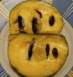 Veredelte Indianerbanane (Paw Paw) `Shenandoah®´ Asimina Triloba `Shenandoah´ -BaumReich Geschaft Indianerbanane von Innen5a0476156796c