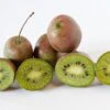 Großfrüchtige Bayern-Kiwi `Pink Jumbo´ Actinidia Arguta `Pink Jumbo´ -BaumReich Geschaft Pink Jumbo1