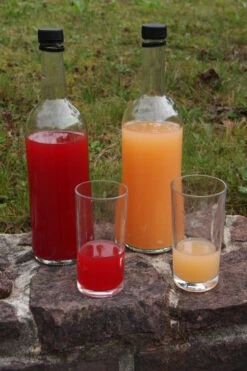 Rosette® Malus Domestica 10 Rosette® Malus Domestica -BaumReich Geschaft Rosette Saft