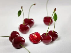 Achat Ⓢ Prunus Cerasus `Achat´ 13 Achat Ⓢ Prunus Cerasus `Achat´ -BaumReich Geschaft sauerkirsche achat ggmc5Q8G1QL1D9