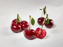 Safir ® Prunus Cerasus `Safir´ 13 Safir ® Prunus Cerasus `Safir´ -BaumReich Geschaft sauerkirsche safir glCz99JjQsQ3RC